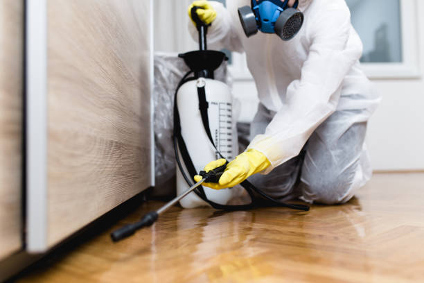 Pest Control for Restaurants in New Boston, OH