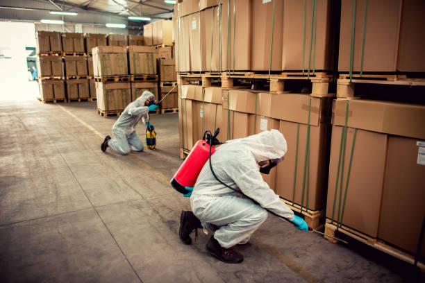Best Local Pest Control Services  in New Boston, OH