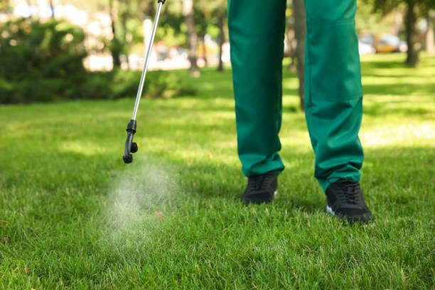Best Affordable Pest Control Services  in New Boston, OH