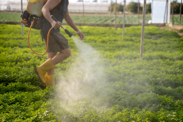 Best Commercial Pest Control Services  in New Boston, OH