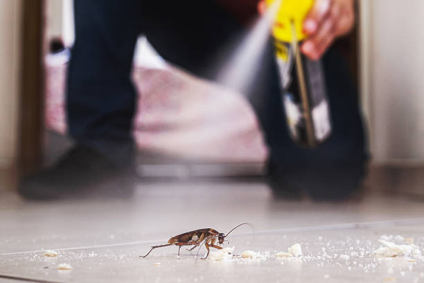 New Boston, OH Pest Control Company