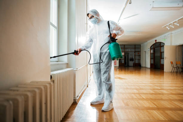 Pest Prevention Services in New Boston, OH